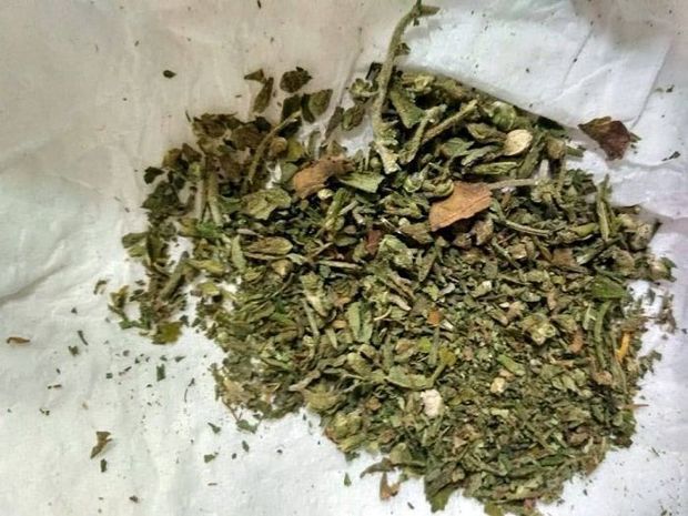 Balakən sakinindən narkotik götürüldü