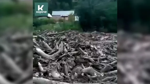 Bir ailənin altı üzvünü sel apardı - VİDEO