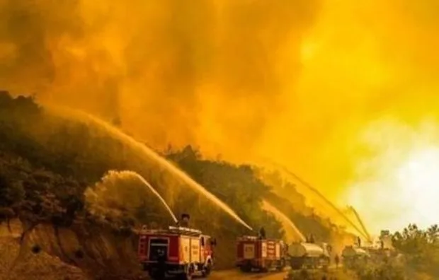 Türkiyədə 11 gündür davam edən meşə yanğını lokallaşdırılıb