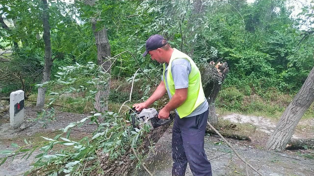 Azərbaycanda 8 yerdə ağaclar və iri budaqlar qırılaraq yolun hərəkət hissəsinə aşıb