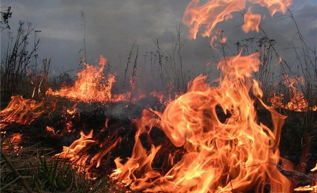 Qəbələdə dağlıq ərazidə yanğın davam edir