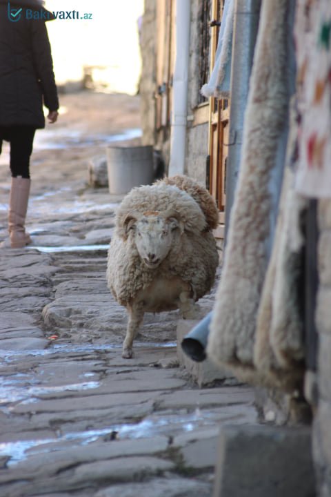 Əsrlərdən boylanan Lahıc - FOTOREPORTAJ