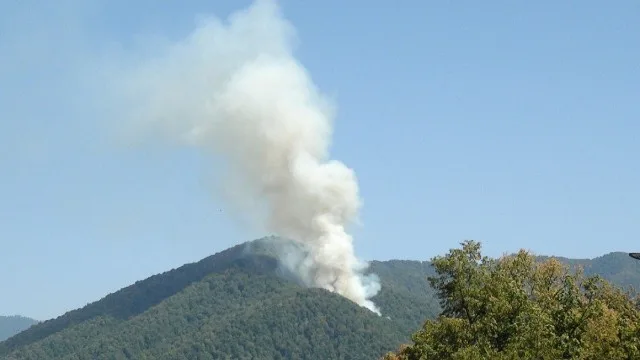 Zaqataladakı yanğın nəzarət altına alındı