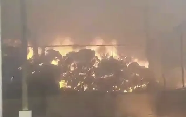 Xaçmazda aqroparkda yanğın oldu