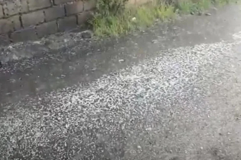 Zaqatalaya dolu yağdı