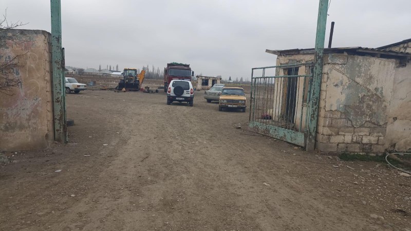 Goranboyda ferma yandırıldı: 230 baş heyvan tələf oldu