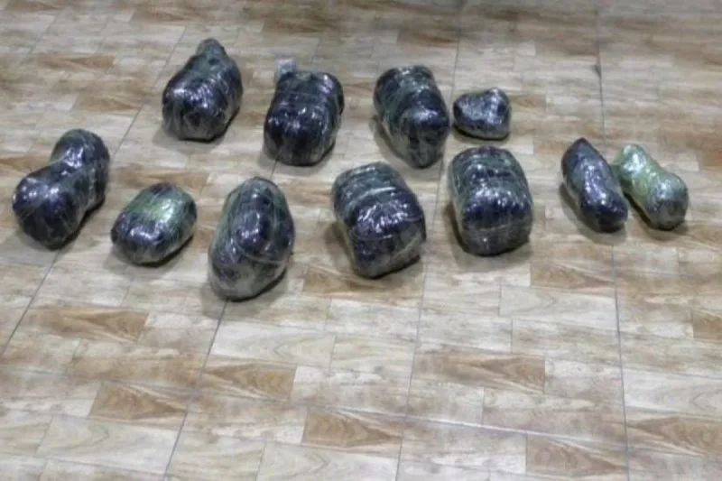 Masallı sakininindən 10 kq narkotik götürülüb - FOTO