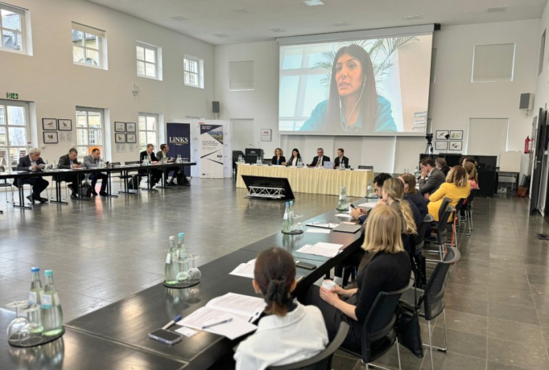 Almaniyada COP29-la bağlı konfrans keçirilib - FOTOLAR