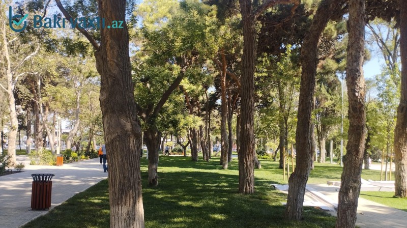 Nərimanov parkı: deyildiyi kimi də varmış - FOTOREPORTAJ
