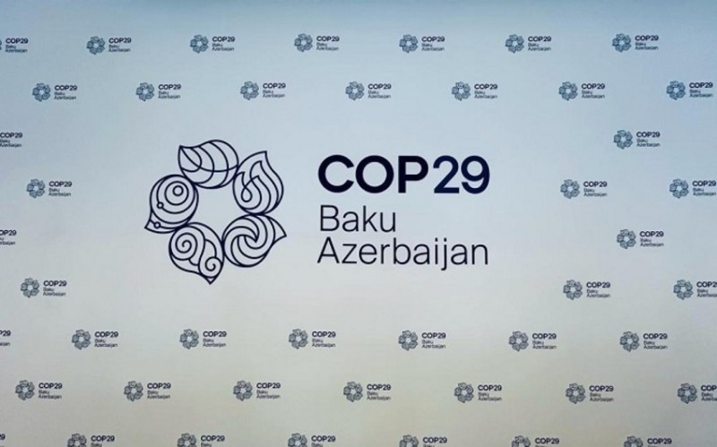 COP29 könüllüləri aksiya keçirib