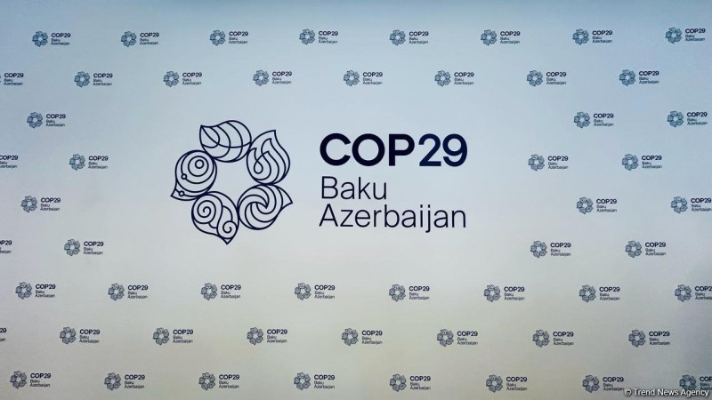 Naxçıvanda COP 29-la bağlı konfrans keçirilir - YENİLƏNİB