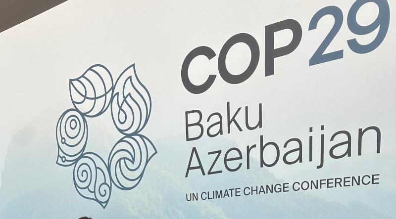 COP29-un maliyyə dövriyyəsinə nəzarət ali audit orqanı ilə birgə aparılır