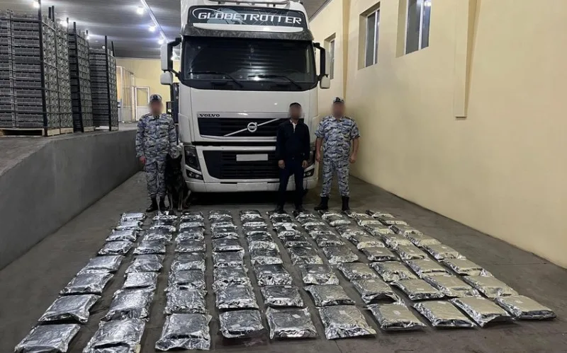 76 kiloqramdan çox narkotik aşkar edildi