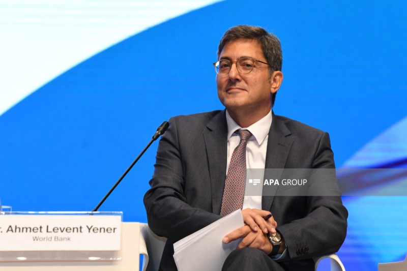 Bakıda keçiriləcək COP29 əlverişli beynəlxalq platforma ola biləcək