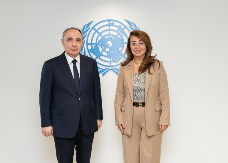 Baş Prokurorluq COP29-la bağlı Vyanada təşviqat tədbiri keçirib - FOTO