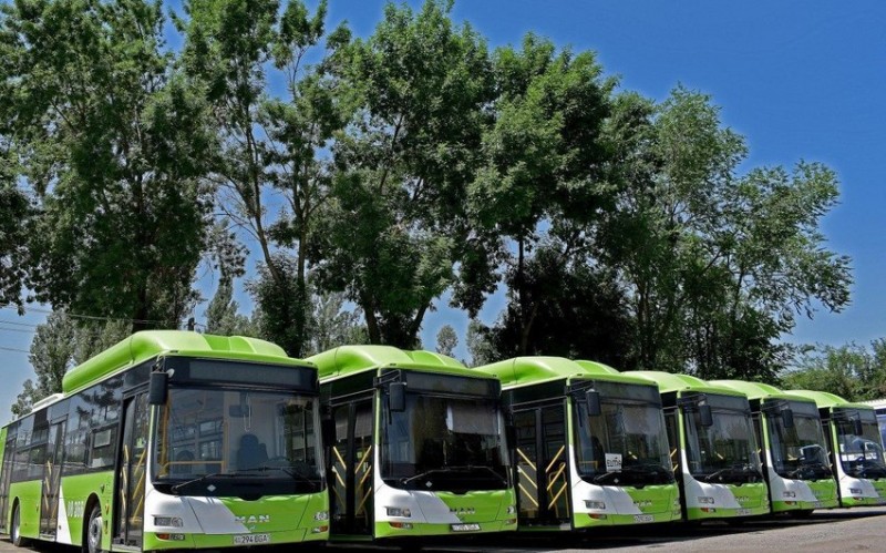 Avtobus parkının 50 %-i "Yaşıl avtobus"larla təchiz olunub