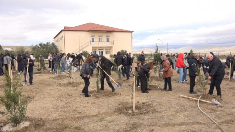 FHN növbəti dəfə ağacəkmə aksiyası keçirib