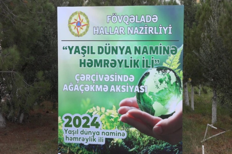 FHN növbəti dəfə ağacəkmə aksiyası keçirib