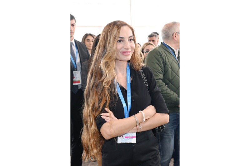 Media nümayəndələri COP29-a hazırlıqla bağlı yekun işlərlə tanış olub - FOTOLAR