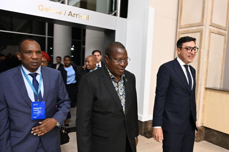 Tanzaniyanın Vitse-prezidenti Azərbaycana gəldi