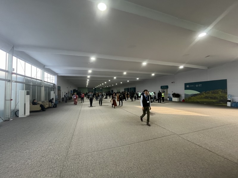 COP29-a böyük maraq müşahidə edilir