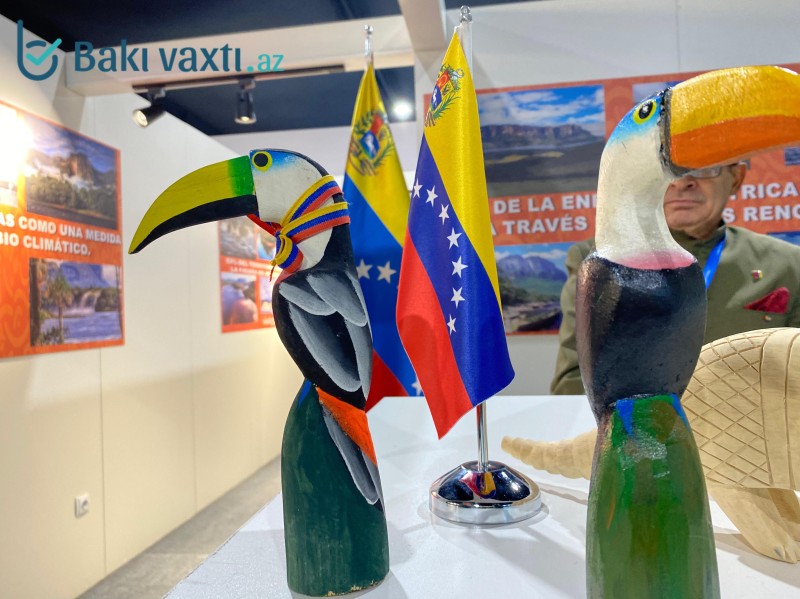 COP29-un 3-cü günündən FOTOREPORTAJ