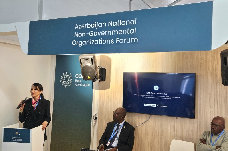 Ombudsman COP29-da təşkil olunmuş yan tədbirdə iştirak etdi - FOTOLAR