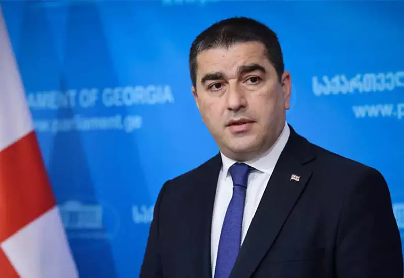 Gürcüstanın spikeri: Yeni qanun ABŞ-nin “Xarici Təsirin Şəffaflığı Aktı”nın oxşarıdır
