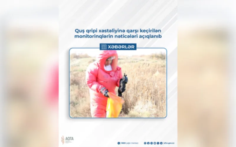 Azərbaycanda quş qripi ilə bağlı vəziyyət necədir? - AQTA AÇIQLADI