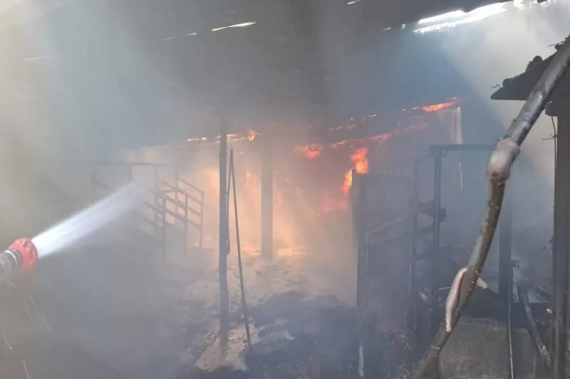 Naxçıvanda ev və ferma yandı - FOTO