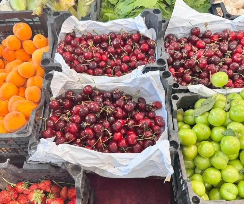 Bakıda fantastik qiymətə gilas SATILIR