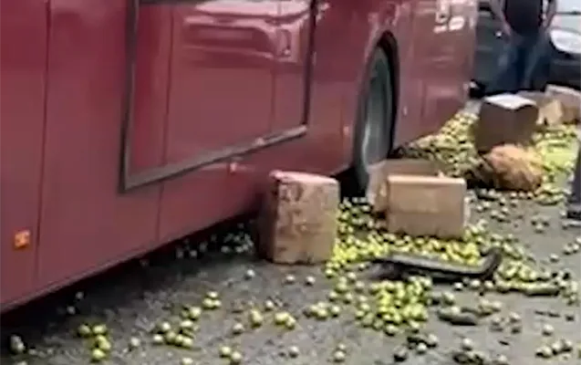 “BakuBus”un avtobusu “Ford”la toqquşdu, meyvələr yola dağıldı - VİDEO