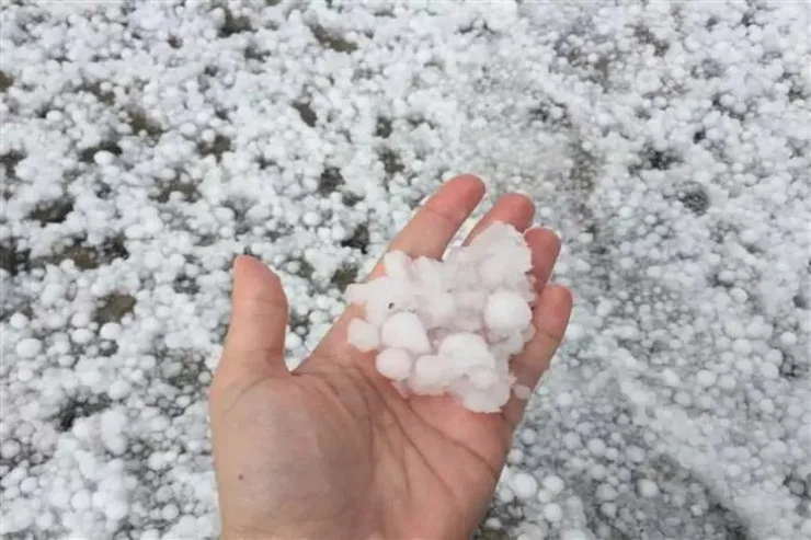 Zaqatalada kəndlərə dolu yağıb