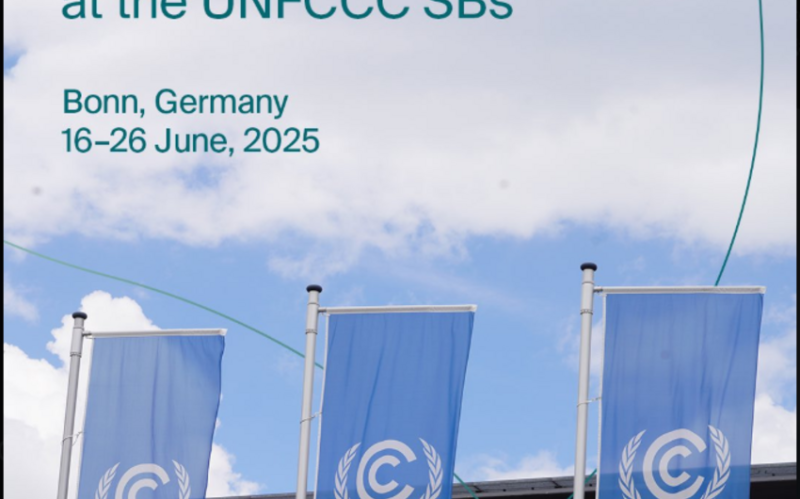 COP29 Sədrliyi Almaniyada səfərdədir