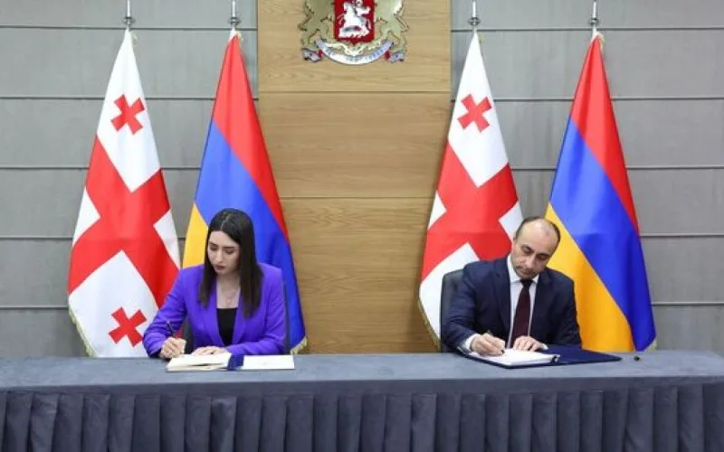 Gürcüstan və Ermənistan gömrük məsələlərini müzakirə edir