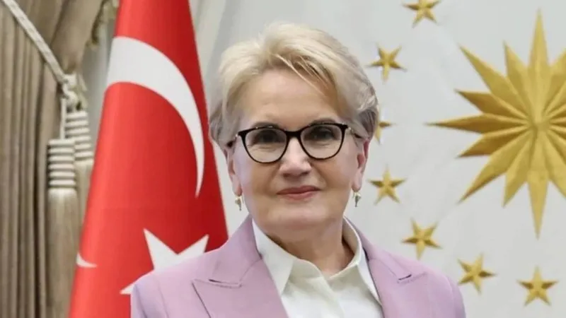 Mən evimdə otururam, siyasətlə əlaqəm yoxdur - Akşener