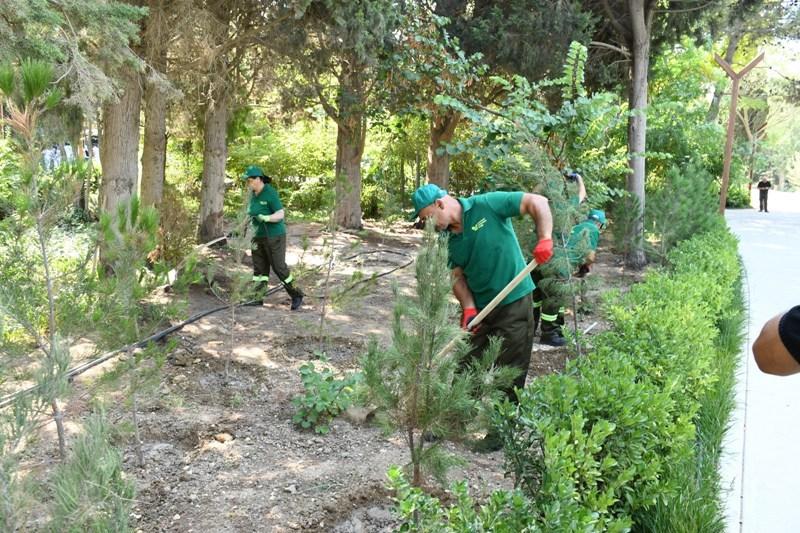 Bakının küçələrində təmizlik işləri həyata keçirilib