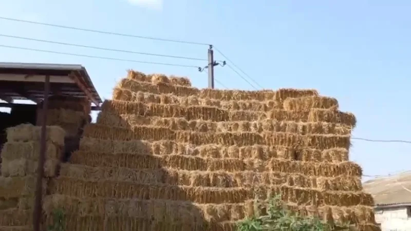 Beyləqanda ot tayasından yıxılan kişi xəstəxanada ölüb