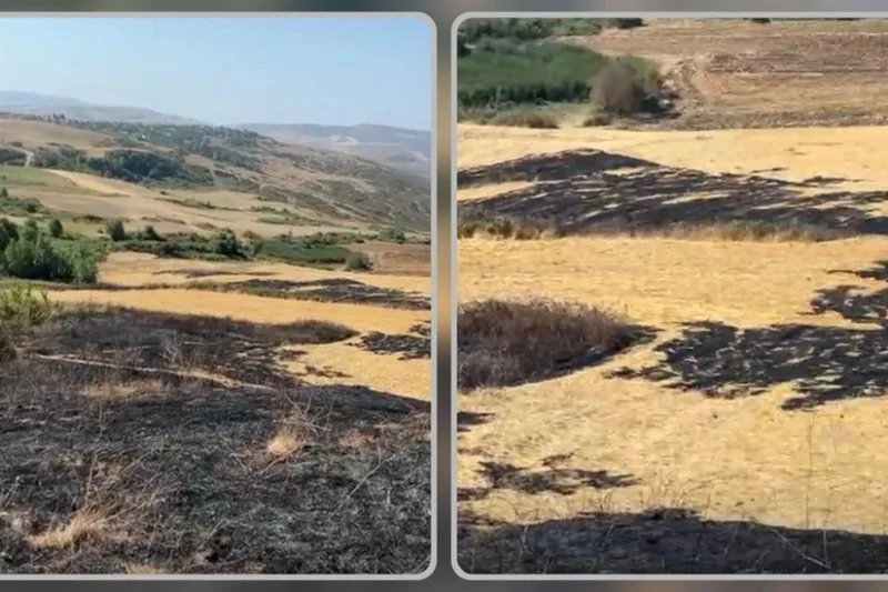 Şamaxıda yanğın törədən şəxs məsuliyyətə cəlb olunub