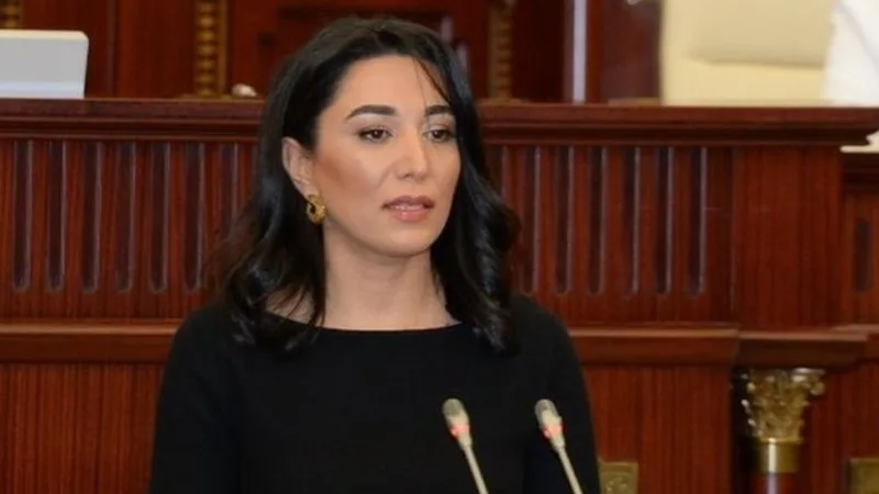 Hərbçilərin, miqrantların hüquqları ilə bağlı nəşrlər çap ediləcək - Ombudsman