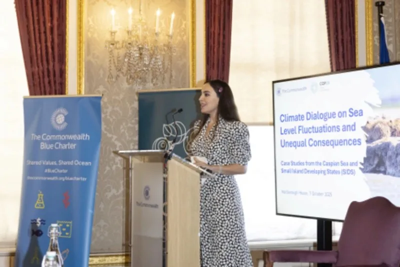 Leyla Əliyeva Londonda yüksəksəviyyəli iqlim dialoqunda iştirak edib