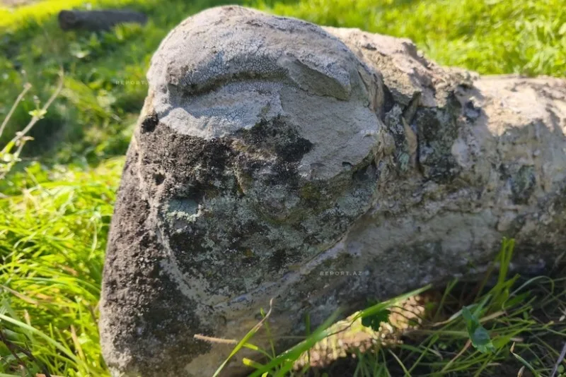 Azərbaycanda nadir heyvan heykəli sındırılıb