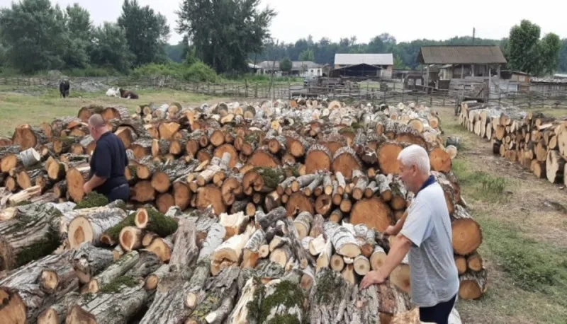 Odun satışı üzrə hərrac keçiriləcək