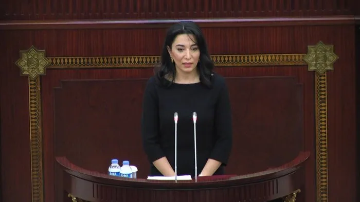 Ombudsmandan bəyanat: mina xəritələri məsələsi həllini tapmalıdır!