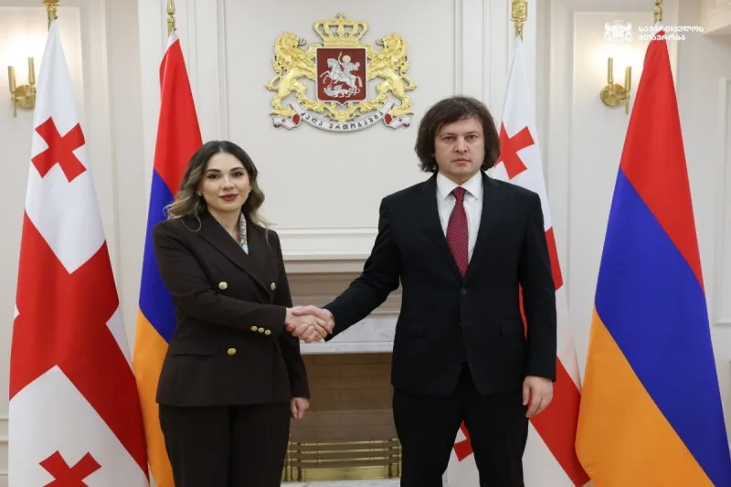 Kobaxidze erməni nazirlə Cənubi Qafqazda sülhü müzakirə edib