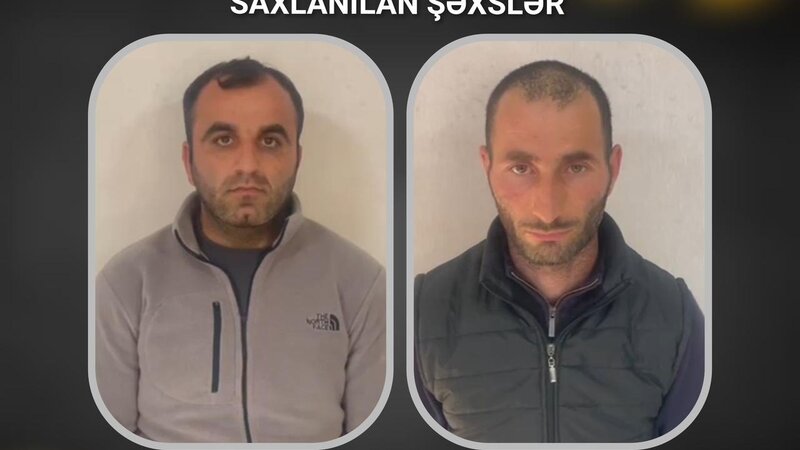 Ağsuda mal-qara oğruları saxlanıldı - FOTO