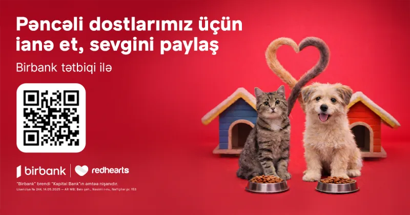 “Pəncəli Ürəklər” sahibsiz heyvanlara dəstək aksiyası uğurla davam edir