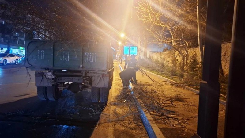 Güclü külək Bakıda 78 ağacı sındırdı - FOTOLAR