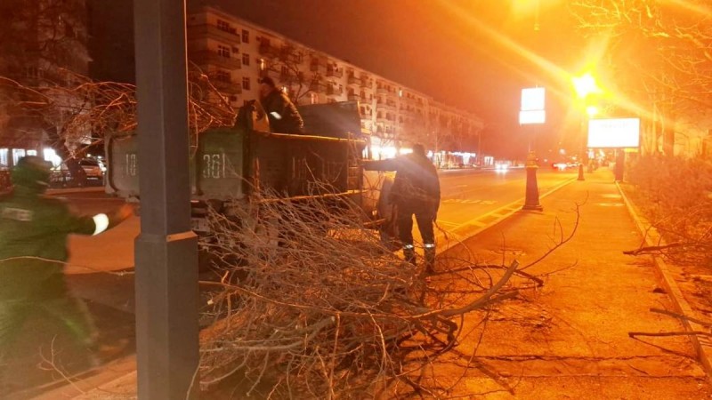 Güclü külək Bakıda 78 ağacı sındırdı - FOTOLAR