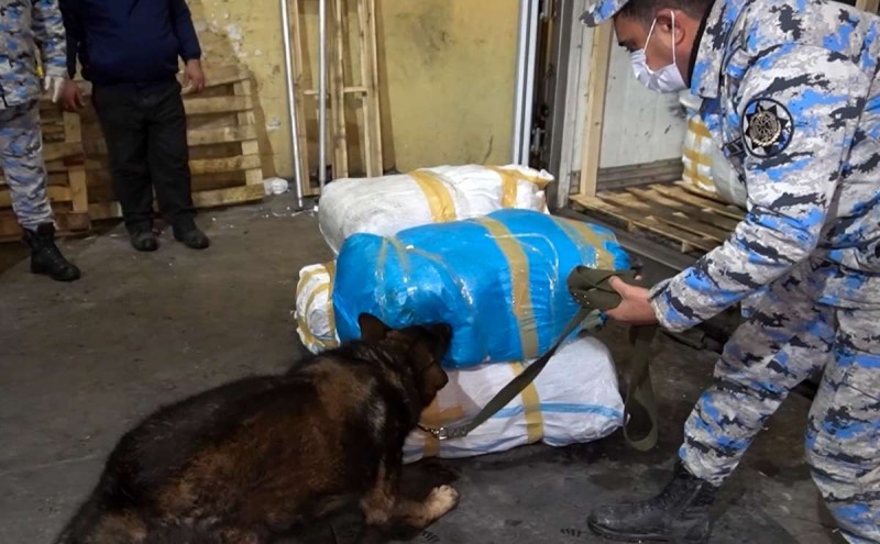 “Göyərti” yükündən külli miqdarda narkotik aşkarlandı